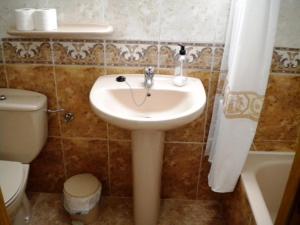 La salle de bains est pourvue d'un lavabo et de toilettes. dans l'établissement Casa Rural López Ordesa, à Frajén