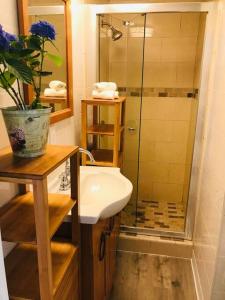 a bathroom with a sink and a shower at 2 Bd Beverly Hills Guest House in Los Angeles