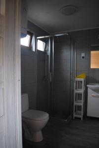 a bathroom with a shower and a toilet and a sink at Marco in Sarbinowo