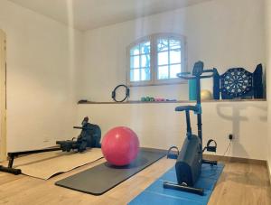 een kamer met een fitnessruimte met een fitnessbal en fitnessapparatuur bij bastide derroc in Cotignac