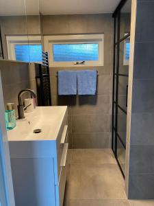 een badkamer met een wastafel en een douche bij Woonboot 4 Harderwijk in Harderwijk