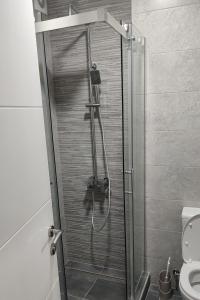 La salle de bains est pourvue d'une douche avec une porte en verre. dans l'établissement La Vista, à Loznica