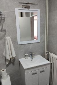 La salle de bains est pourvue d'un lavabo blanc et d'un miroir. dans l'établissement La Vista, à Loznica