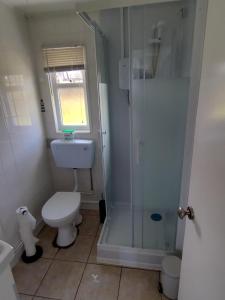 a bathroom with a toilet and a shower at 19 Seadell in Hemsby