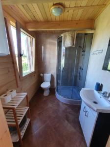 a bathroom with a shower and a toilet and a sink at Hals domki letniskowe in Ustronie Morskie