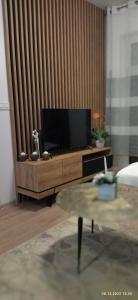 TV a/nebo společenská místnost v ubytování Center City Apartment III