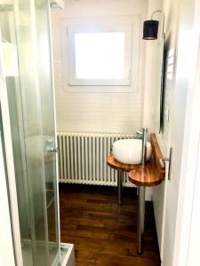 La salle de bains est pourvue d'un lavabo et d'une douche en verre. dans l'établissement Appartement Cosy proche Futuroscope, à Jaunay-Clan