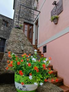 een pot bloemen naast een gebouw bij La Casa di Amelia in Ruviano