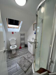 a bathroom with a toilet and a sink at WoodGreen house in London