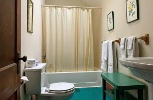 uma casa de banho com um WC, um lavatório e um chuveiro em Lakeside Inn em Lakeside