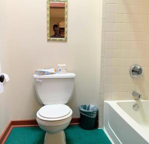 a bathroom with a toilet and a tub and a mirror at Lakeside Inn in Lakeside