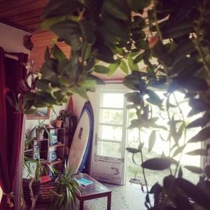 a room with a surfboard and a door with a plant at Guesthouse Évasion in Contis-les-Bains