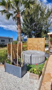 a garden with a palm tree and a fire pit at Mobil home 6 personnes camping 4* Les Pins Maritimes in Hyères
