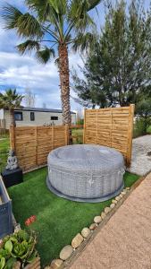 a backyard with a palm tree and a large circularificialificialificialificialificialificial at Mobil home 6 personnes camping 4* Les Pins Maritimes in Hyères