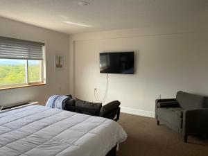 a bedroom with a bed and a couch and a television at Adorable Studio Apartment in Gadsden, AL in Gadsden