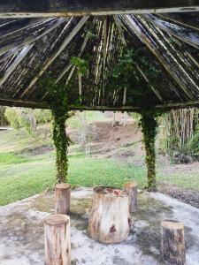 an outdoor tent with a tree stump and vines at Chales Vinhas da Harmonia in Cunha
