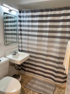 a bathroom with a sink and a shower curtain at Quaint studio apartment in Gadsden, Al in Gadsden