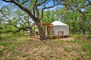 a yurt in a field with a tree at OT 3515B Texas Yurt Haus Buffalo in New Braunfels