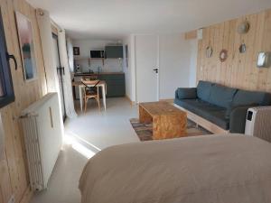 Habitación con cama, sofá y cocina. en Studio Chez Suzanne, en Saint-Jorioz