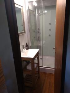 ein Bad mit einem Waschbecken und einer Dusche in der Unterkunft Yurtas Ivirareta Glamping in Garupá