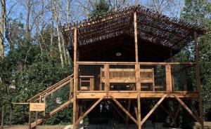 uma grande casa de pássaros de madeira numa floresta em Hôtel Quai des Pontis em Cognac