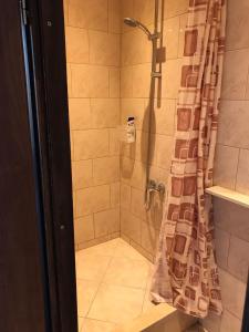 スタリー・グラードにあるZana Apartmentsのバスルーム(シャワー、シャワーカーテン付)が備わります。