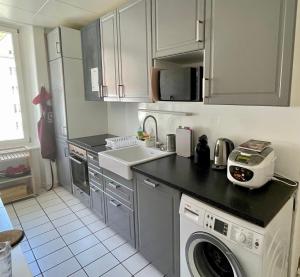 een keuken met een wasmachine en een wastafel bij Le Locle : bel appartement chaleureux in Le Locle