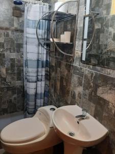 ein Badezimmer mit einem Waschbecken, einem WC und einem Spiegel in der Unterkunft Casa La Ruta Jardines in Pisco