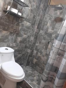 ein Bad mit einem WC und einer Dusche in der Unterkunft Casa La Ruta Jardines in Pisco