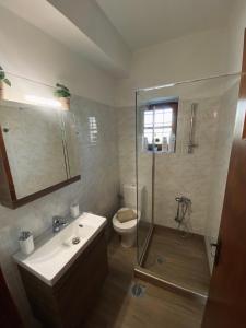 a bathroom with a shower and a toilet and a sink at Zagori Home in Monodendri