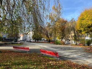 Fotografie z fotogalerie ubytování Le Locle : bel appartement chaleureux v destinaci Le Locle