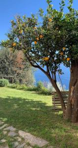 Gallery image of La casa dei ciucciarielli in Furore