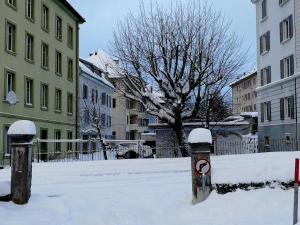 Le Locle : bel appartement chaleureux v zimě
