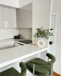 uma cozinha com um balcão branco e uma cadeira verde em Apartman 306 em Lukavica