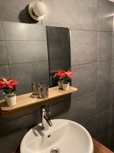 La salle de bains est pourvue d'un lavabo et d'un miroir. dans l'établissement Bel appartement avec emplacement idéal, à Saint-Laurent-du-Var