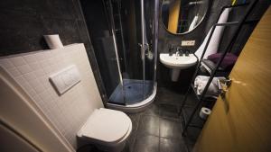 Un baño con ducha, inodoro y lavabo. en Tsar Bani Spa Resort, en Gudauri