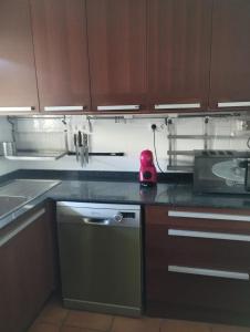 a kitchen with a sink and a dishwasher at Casa rural El olivo in Puigmoreno