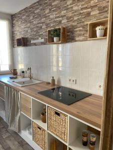 eine Küche mit einer Spüle und einer Arbeitsplatte in der Unterkunft Appartement Un moment d’ÉVAsion in Épernay