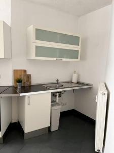 a kitchen with a sink and a counter top at Geräumig, zentral, Messe nah! BE1R in Essen
