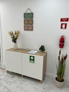 ein Schrank in einem Raum mit zwei Topfpflanzen in der Unterkunft Flat in Olhão city center in Olhão