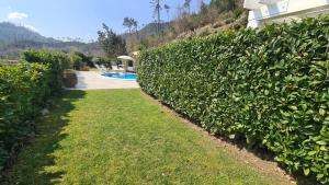a hedge in front of a house with a swimming pool at Orchidea in Beverino