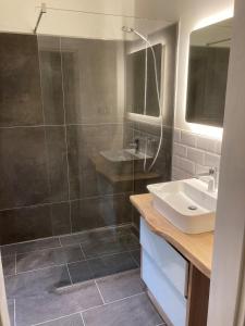 a bathroom with a shower and a sink and a tub at SUITE-DREAMS LOFT - Innenstadt in Hannover
