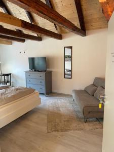 Televiisor ja/või meelelahutuskeskus majutusasutuses 24-7 Apartment Passau