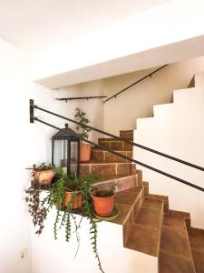 a stairway with potted plants and a lantern at The Early Bird - Cosy 2-Floor House with Garden in Alexandroupoli