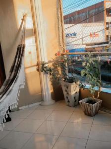 サン・ベネジトにあるPousada Centralの鉢植えの植物が2本あり、窓が付いています。