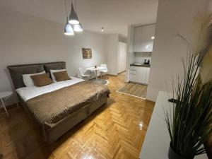 a bedroom with a bed and a table and a kitchen at LL65 Apartmens Airport Nikola Tesla in Ledine
