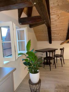 Foto Passaus asuva majutusasutuse 24-7 Apartment Passau galeriist