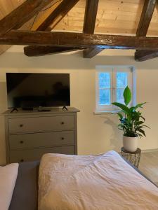 Televiisor ja/või meelelahutuskeskus majutusasutuses 24-7 Apartment Passau