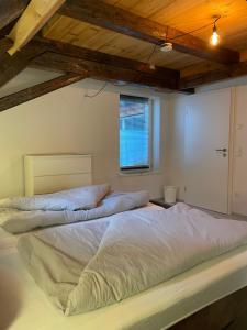 Voodi või voodid majutusasutuse 24-7 Apartment Passau toas