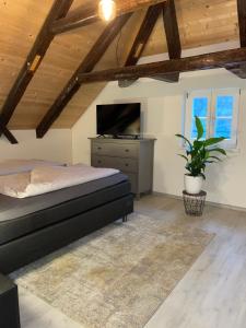 a bedroom with a bed and a television in a attic at 24-7 Apartment Passau in Passau